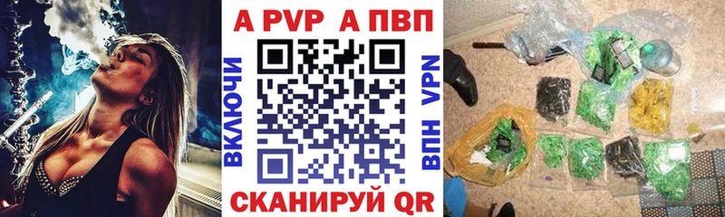 A-PVP СК КРИС Губкин
