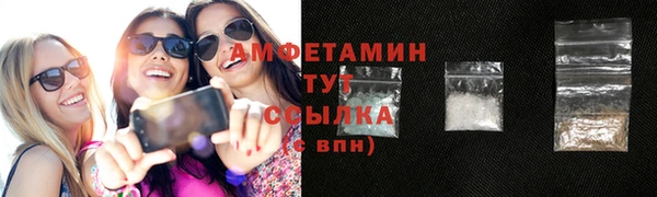 прущие грибы Верхний Тагил