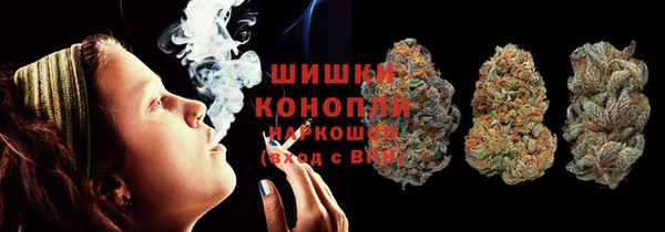 прущие грибы Верхний Тагил