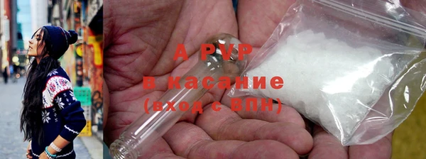прущие грибы Верхний Тагил