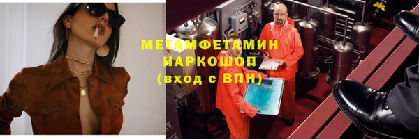 прущие грибы Верхний Тагил