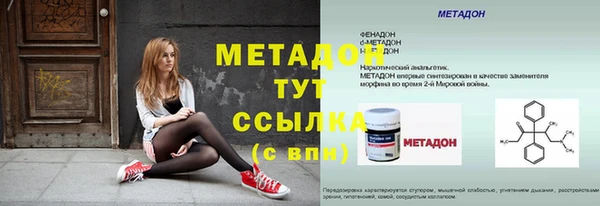 прущие грибы Верхний Тагил
