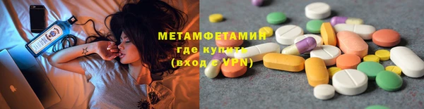 прущие грибы Верхний Тагил