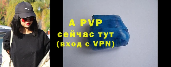 прущие грибы Верхний Тагил