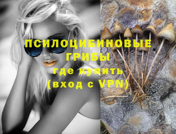 прущие грибы Верхний Тагил